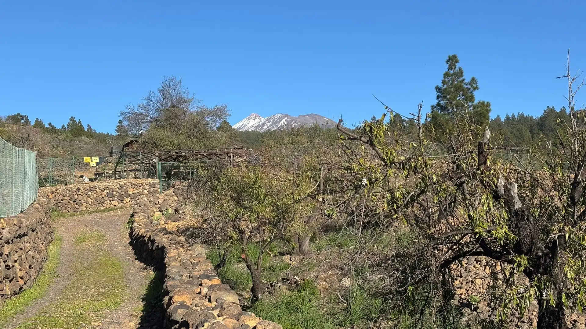 Residencial en venta en Guía de Isora