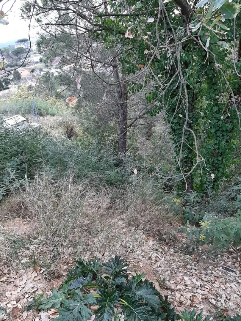 Terreny residencial en venda a Riells i Viabrea, imagen 2