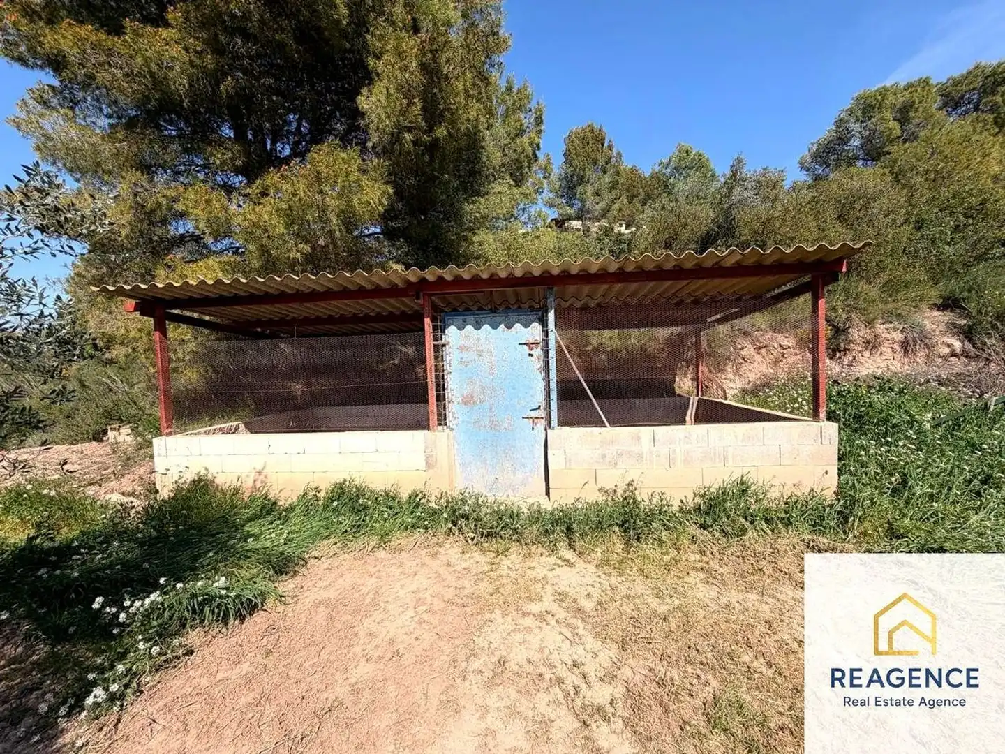 Garden of Country homes for sale in Flix, Tarragona