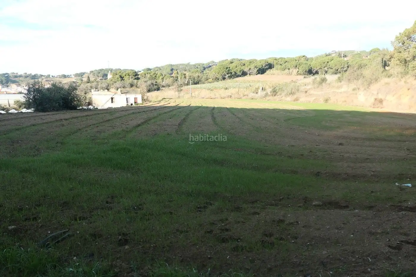 Land for sale in Canet de Mar