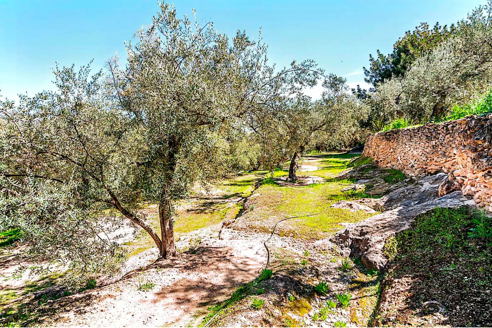 Terrain rustique à vendre à El Pinar, imagen 22
