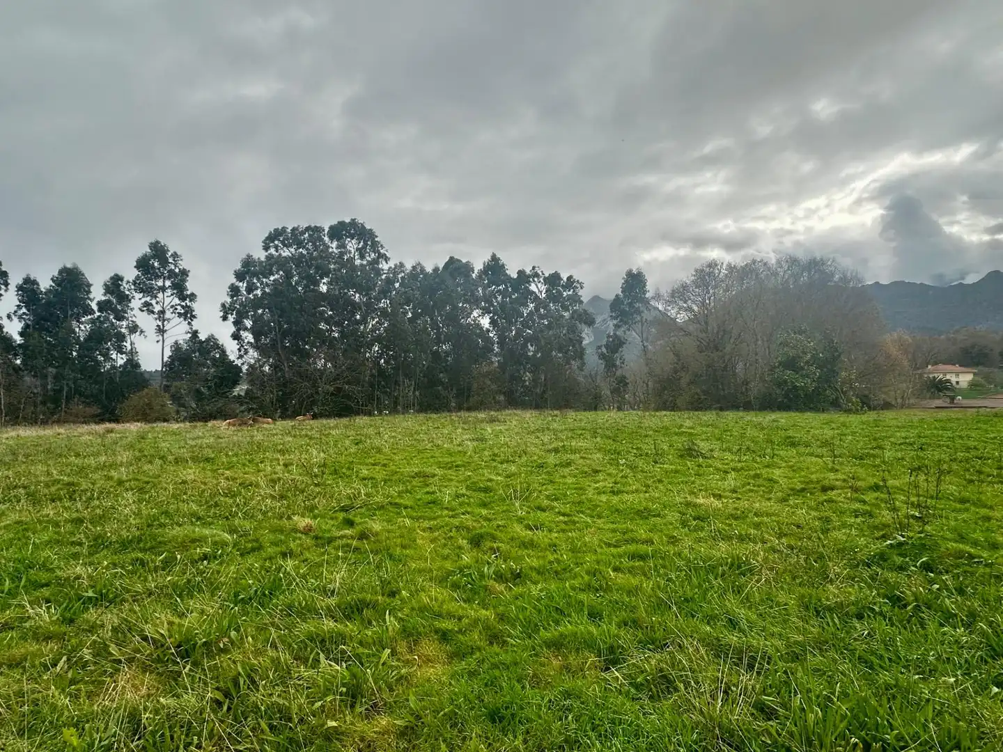 Casa o chalet en venta en Ribadesella con Jardín privado y Terraza
