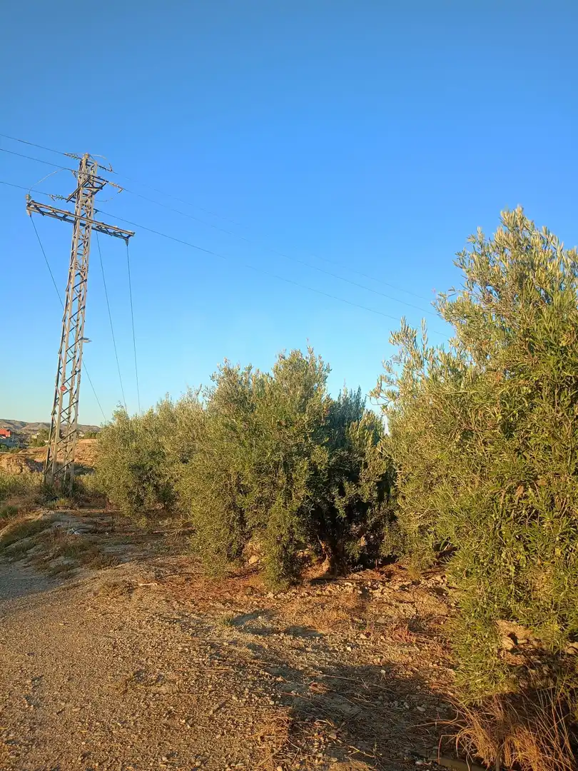 Residencial en venda en Lorca