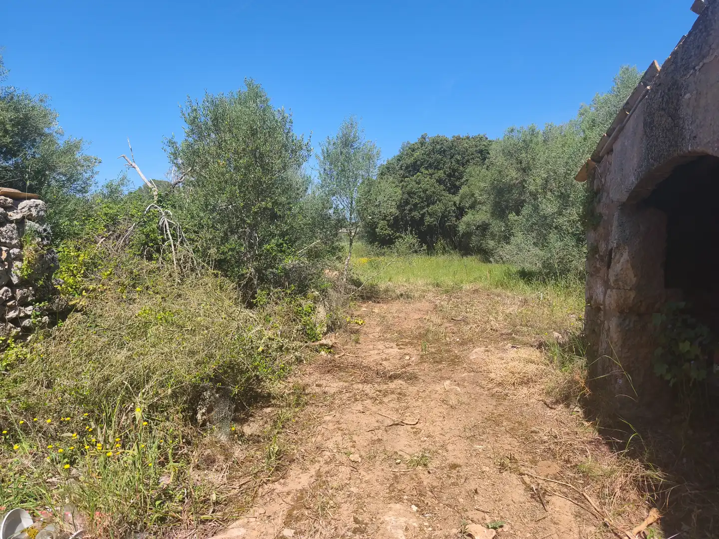 Casa o xalet en venda en  Palma de Mallorca