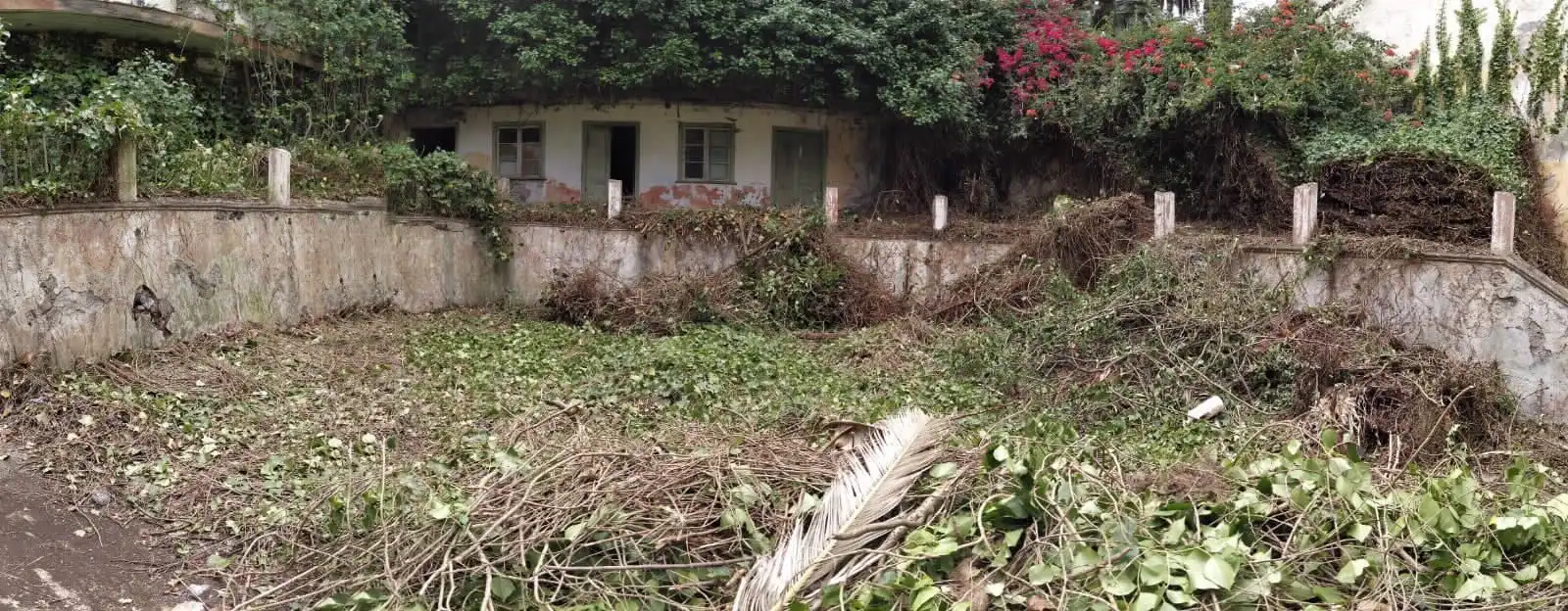 Commercial properties for sale in Icod de los Vinos