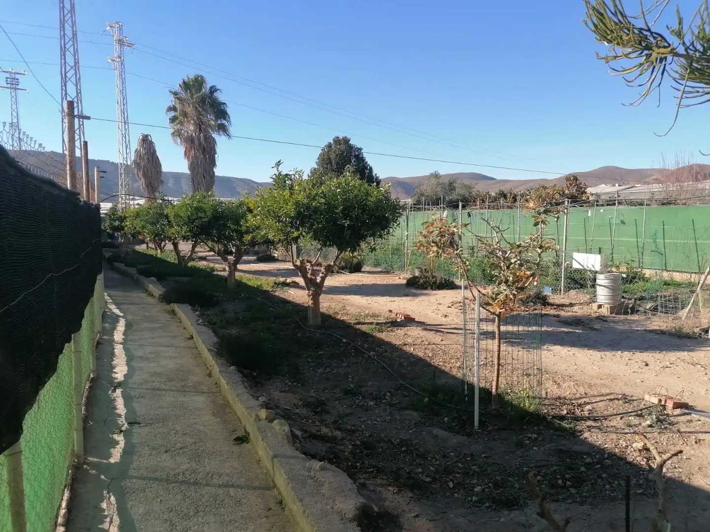 Casa rústica en venda a Dalías, imagen 6