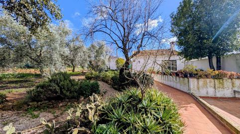 Foto 2 de Casa o chalet en venta en Los Arenales, Loja, Granada