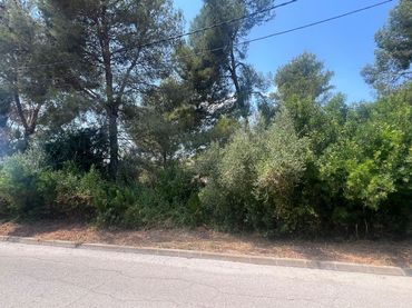 Terreni e lotti in vendita a Olivella
