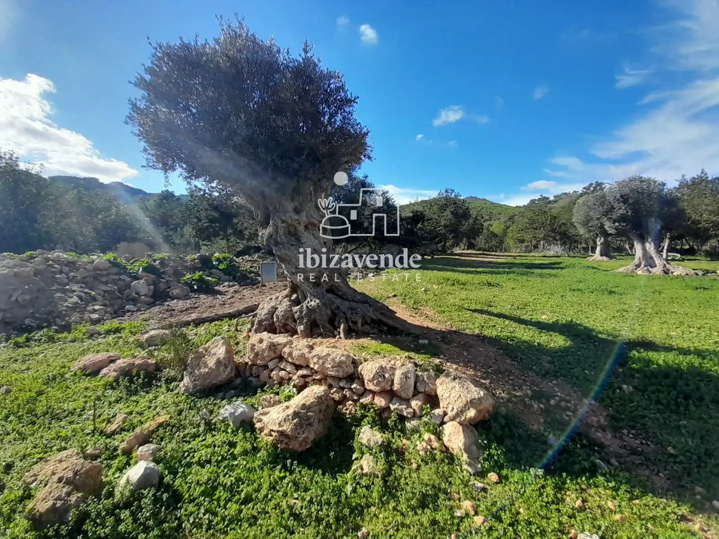 Houses for sale in Sant Joan de Labritja  with Furnished