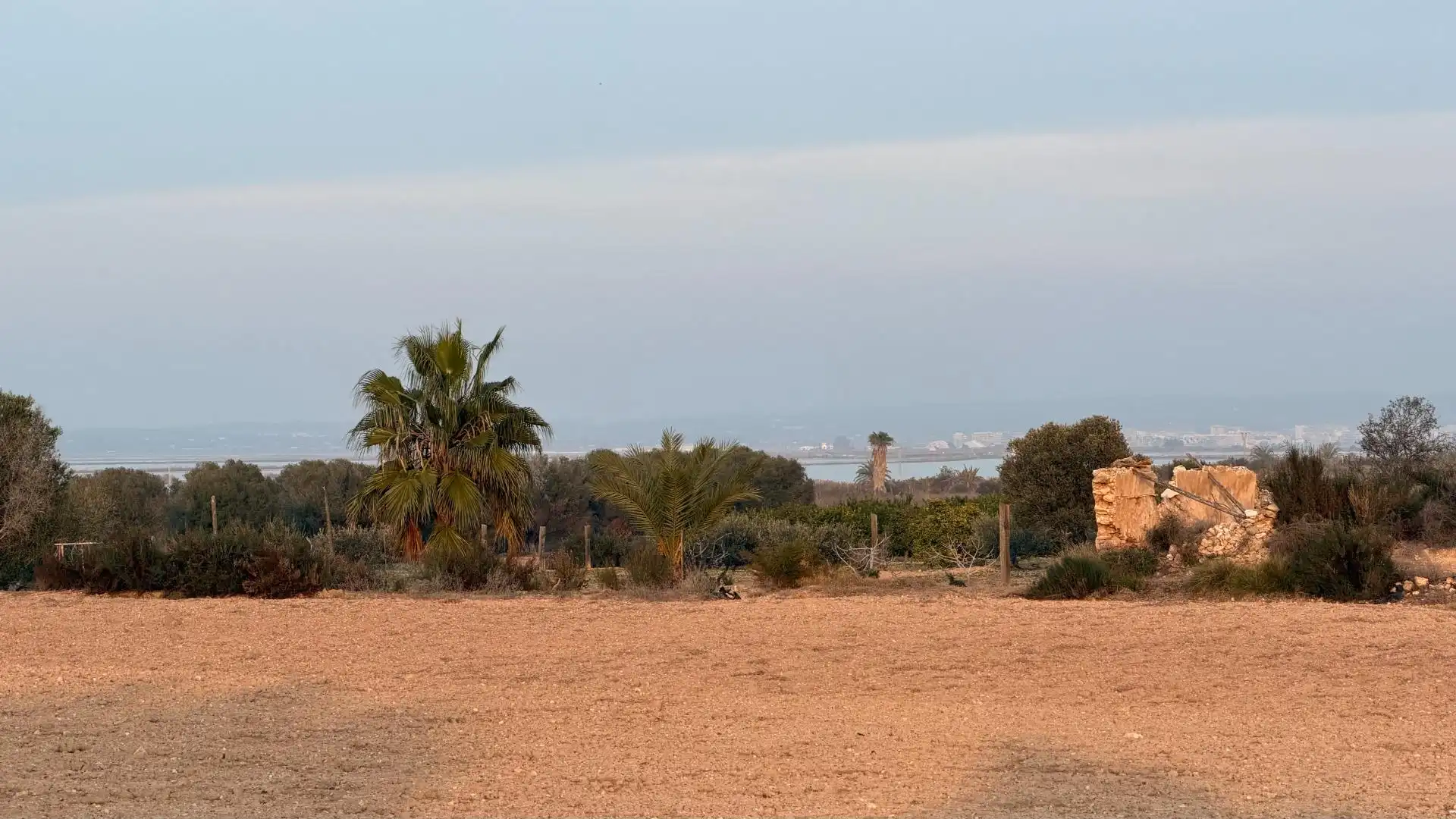 Terrain rustique à vendre à La Marina, imagen 18