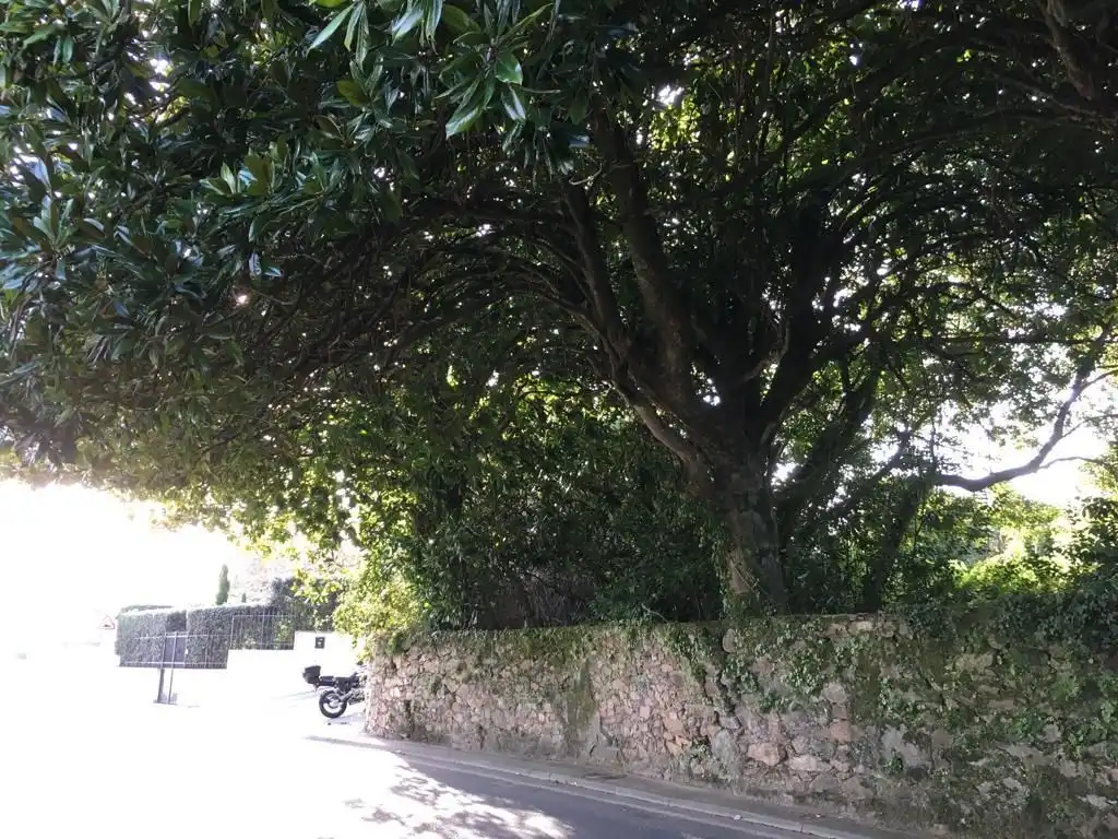 Terreni e lotti in vendita a Centro de Culleredo, imagen 3