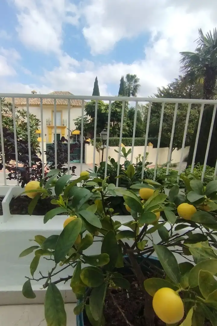 Terrasse von Maisonette zum Verkauf in Marbella mit Terrasse
