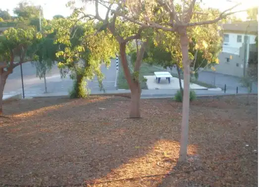 Vista exterior de Casa o xalet en venda en Castellón de la Plana / Castelló de la Plana amb Terrassa