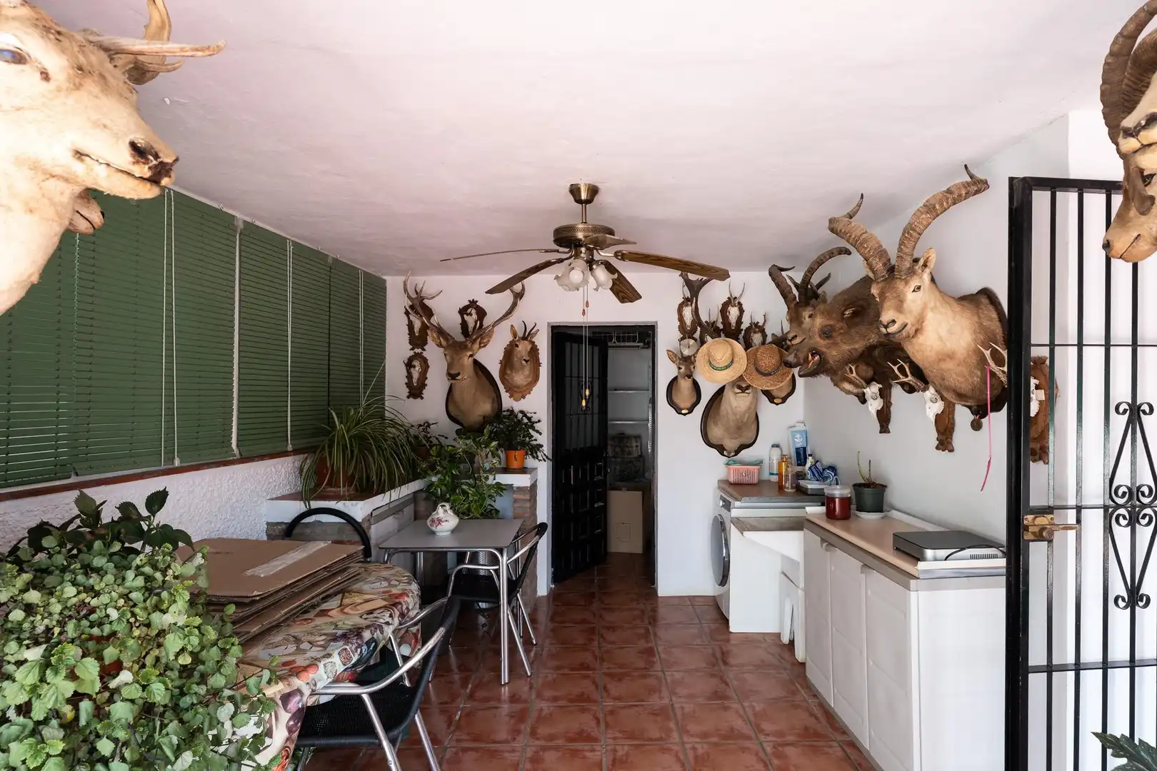 Casa rústica amb jardí en venda a El Romeral - Peñón de Zapata, imagen 47