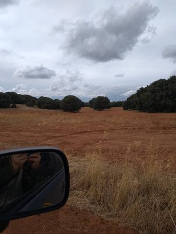 Terreno en Venta en N/A, -1 en Nuevo Parque