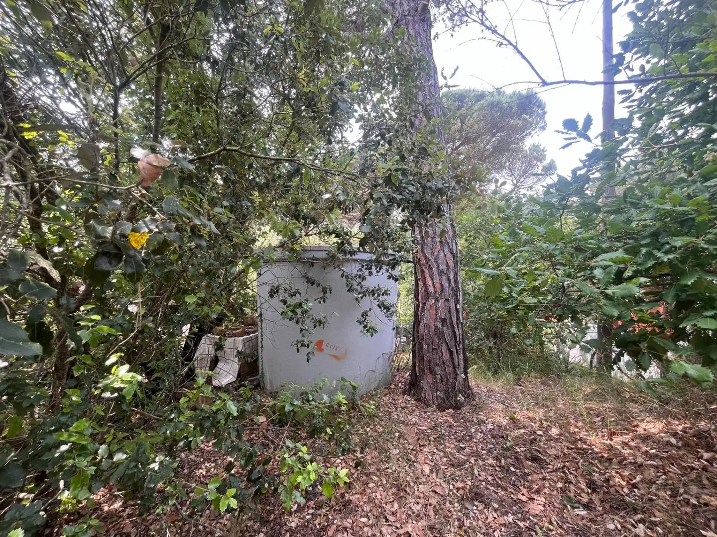 Maison rustique avec jardin à vendre à Niàgara Parc - Àgora Parc, imagen 20