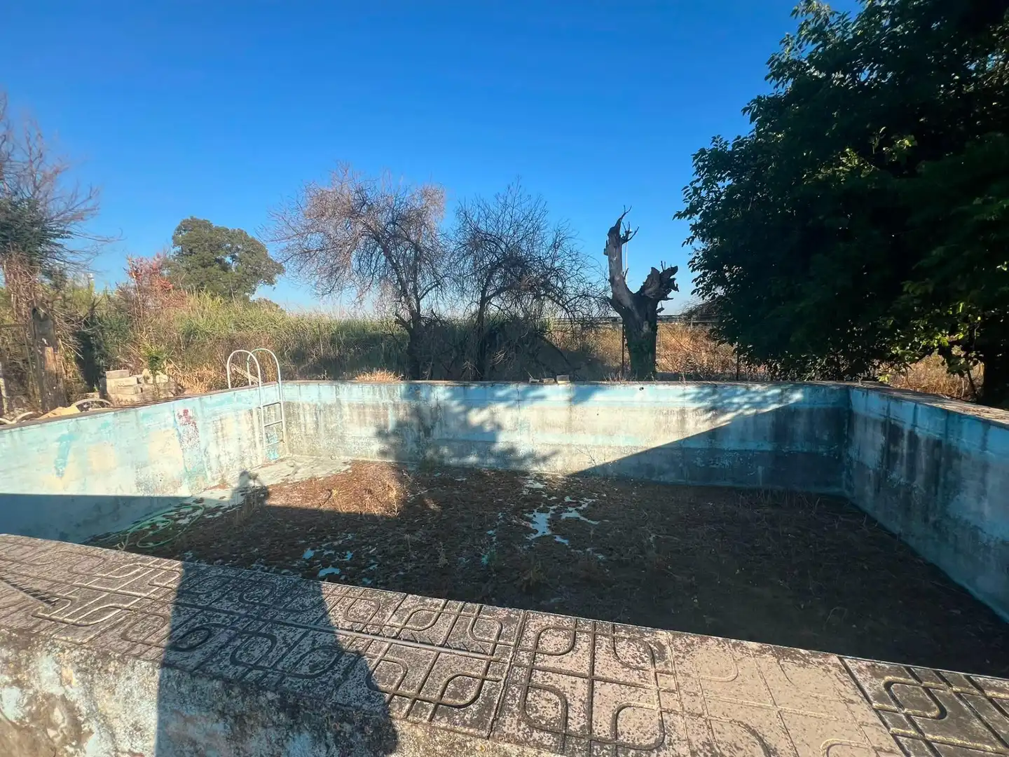 Piscina de Casa o chalet en venta en Los Palacios y Villafranca