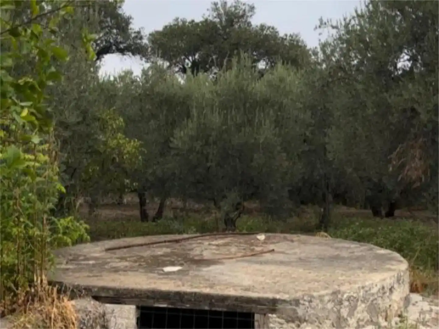 Finca rústica en venda en Morón de la Frontera