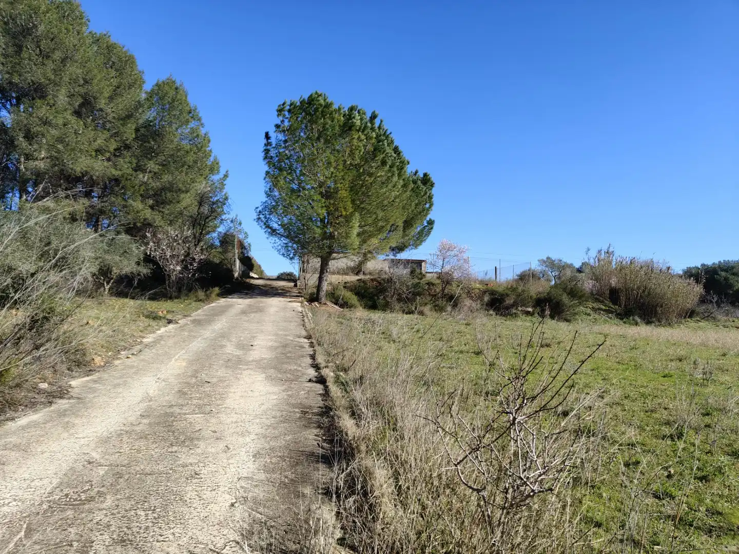 Casa o xalet en venda en Atzeneta del Maestrat amb Calefacció, Jardí privat i Terrassa