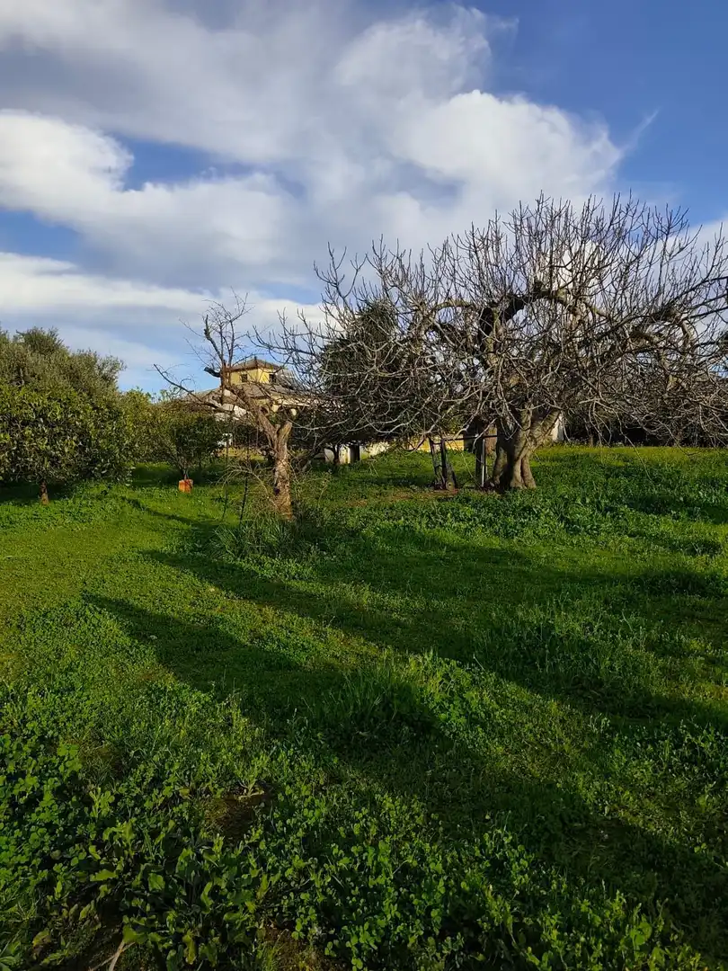 Terreni e lotti in vendita a SALVIA, imagen 4