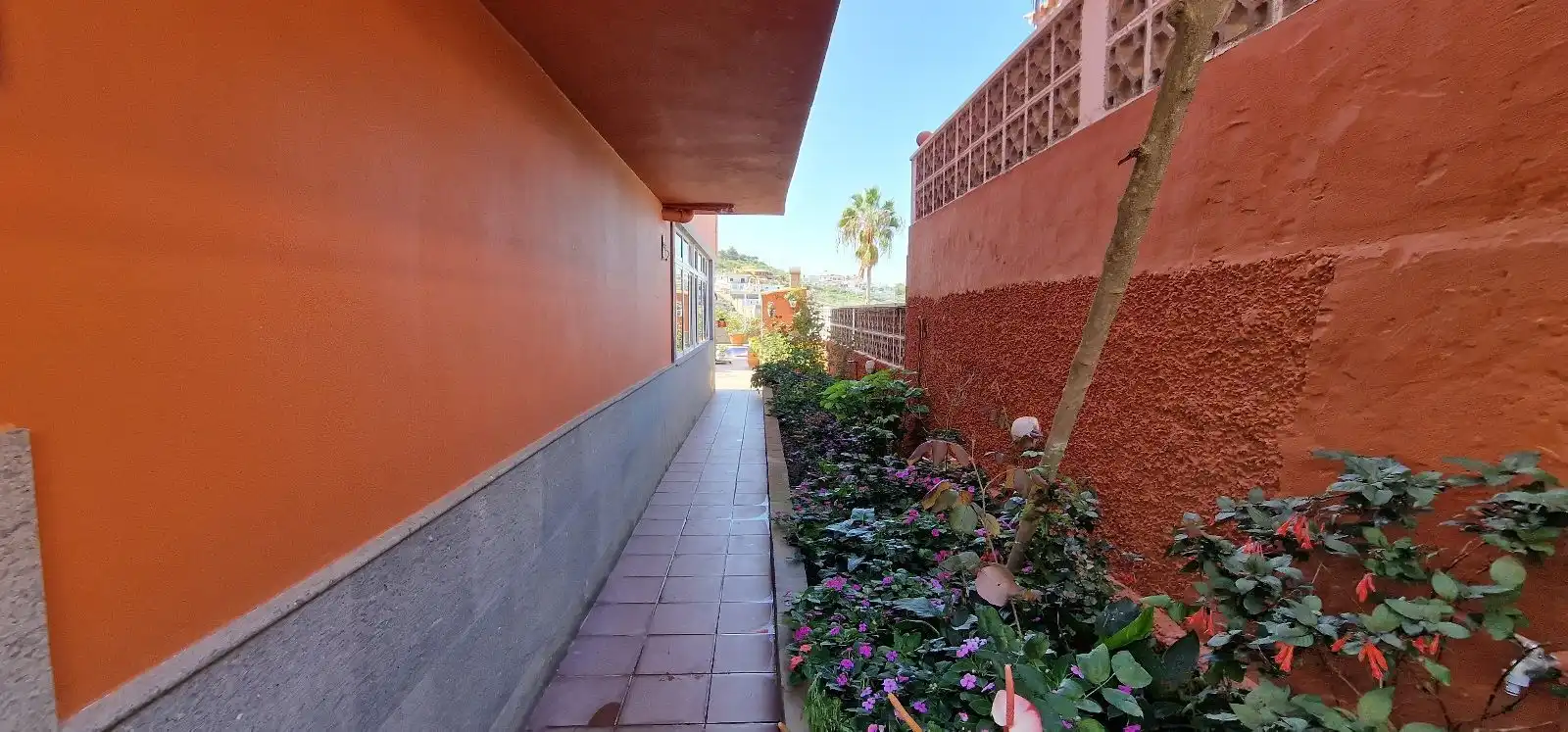 Vista exterior de Casa o chalet en venta en Firgas con Jardín privado, Piscina y Amueblado