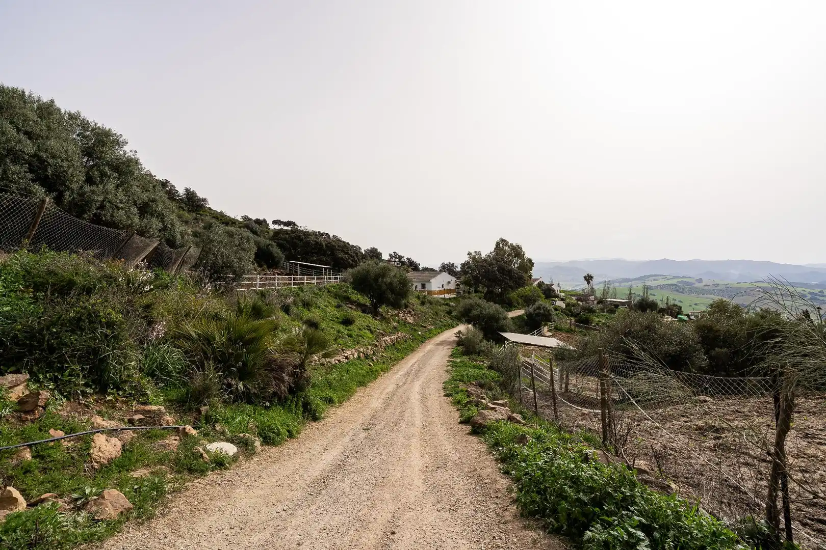 Vista exterior de Finca rústica en venta en Villanueva de la Concepción con Terraza, Piscina y Amueblado