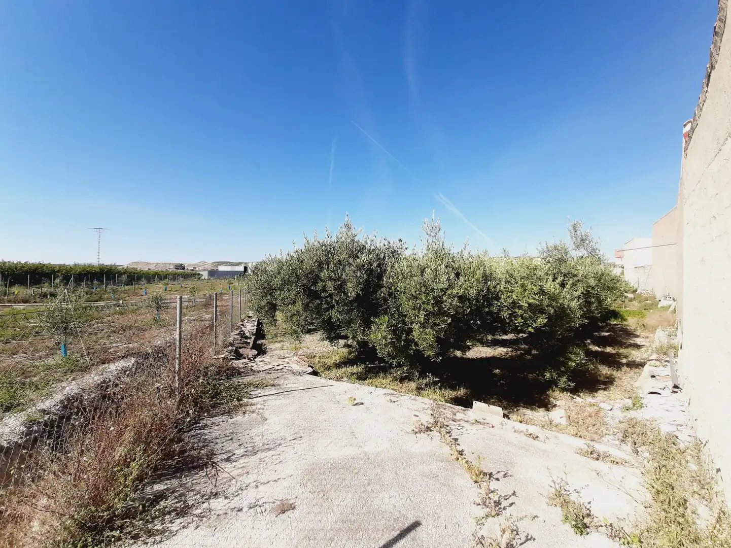 Lands and plots for sale in Mula, imagen 13
