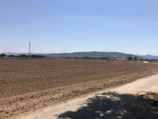 Terreno rústico en venta en PT Paraje Hilo del Rey, imagen 10