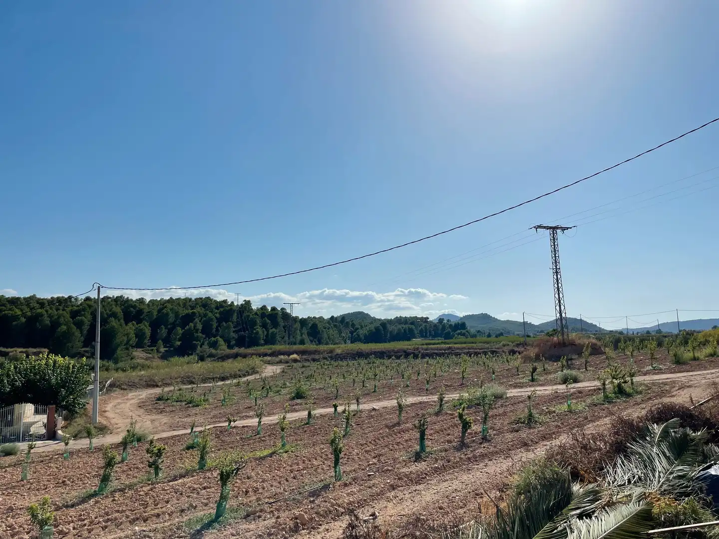 Terreno rustico in vendita a Cehegín, imagen 16