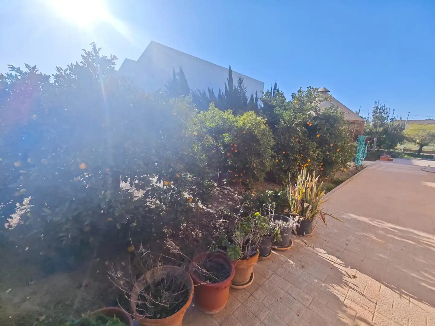 Garden of Houses for sale in Murcia  with Terrace