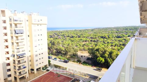 Foto 4 de Piso en venta en Calle Medico Basilio Paredes Gomez, Puerto Deportivo, Guardamar del Segura