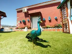 Casa o xalet en venda a Buenavista, 32, Portada Verde - Lomo Espino - Guanche