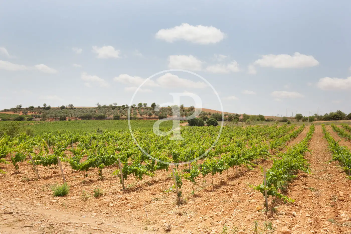 Finca rústica en venda en Requena amb Aire condicionat, Calefacció i Jardí privat