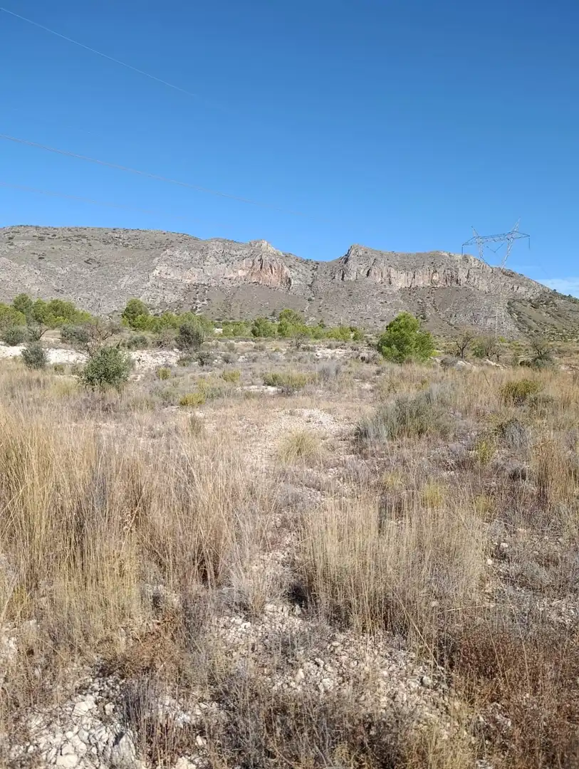 Terreno rustico in vendita a Hondón de las Nieves / El Fondó de les Neus, imagen 7