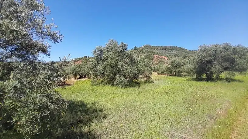 Terreni e lotti in vendita a Calle Polg. Sorihuela del Guadal, imagen 3