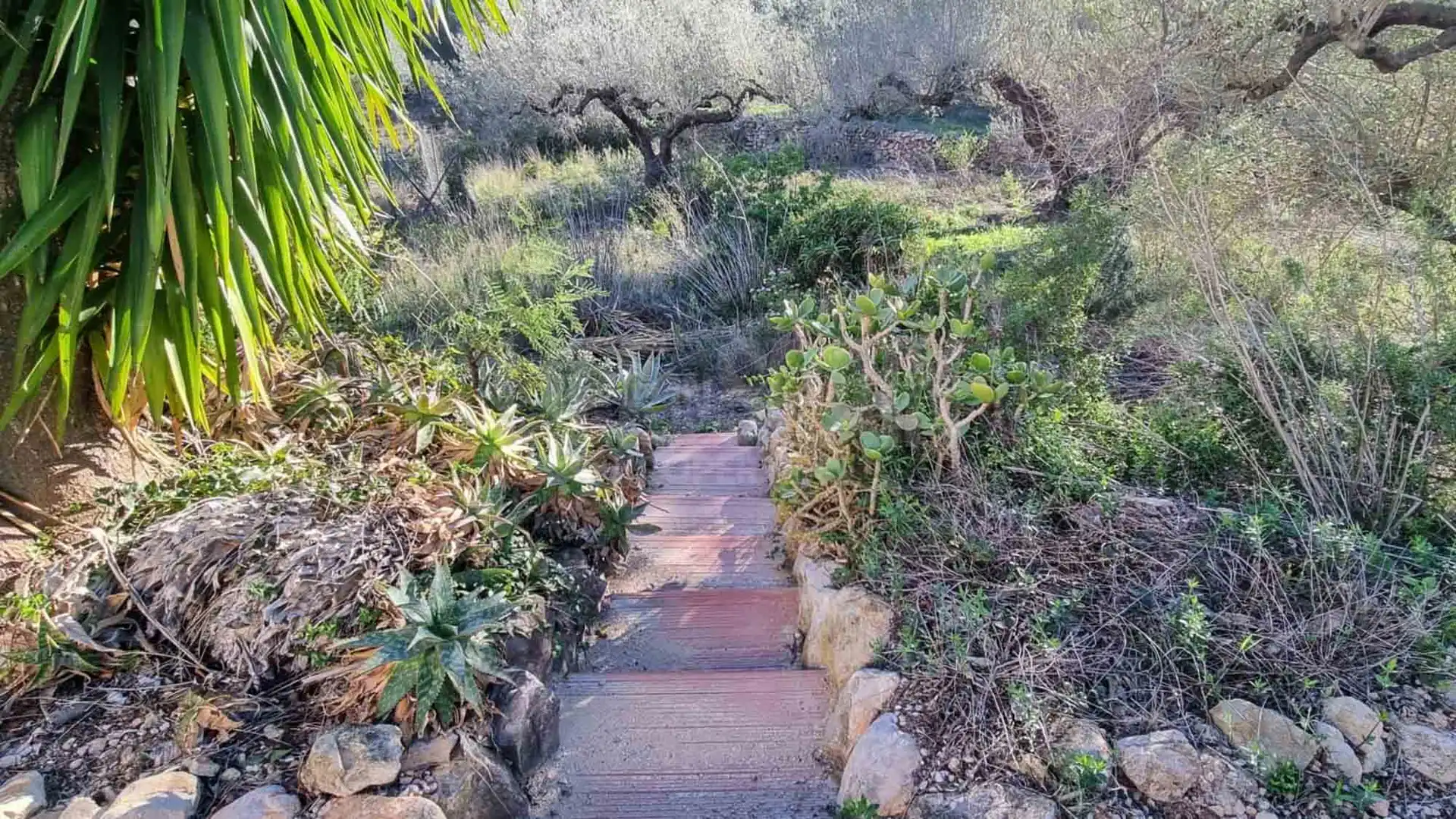 Casa rústica con piscina en venta en El Perelló, imagen 63