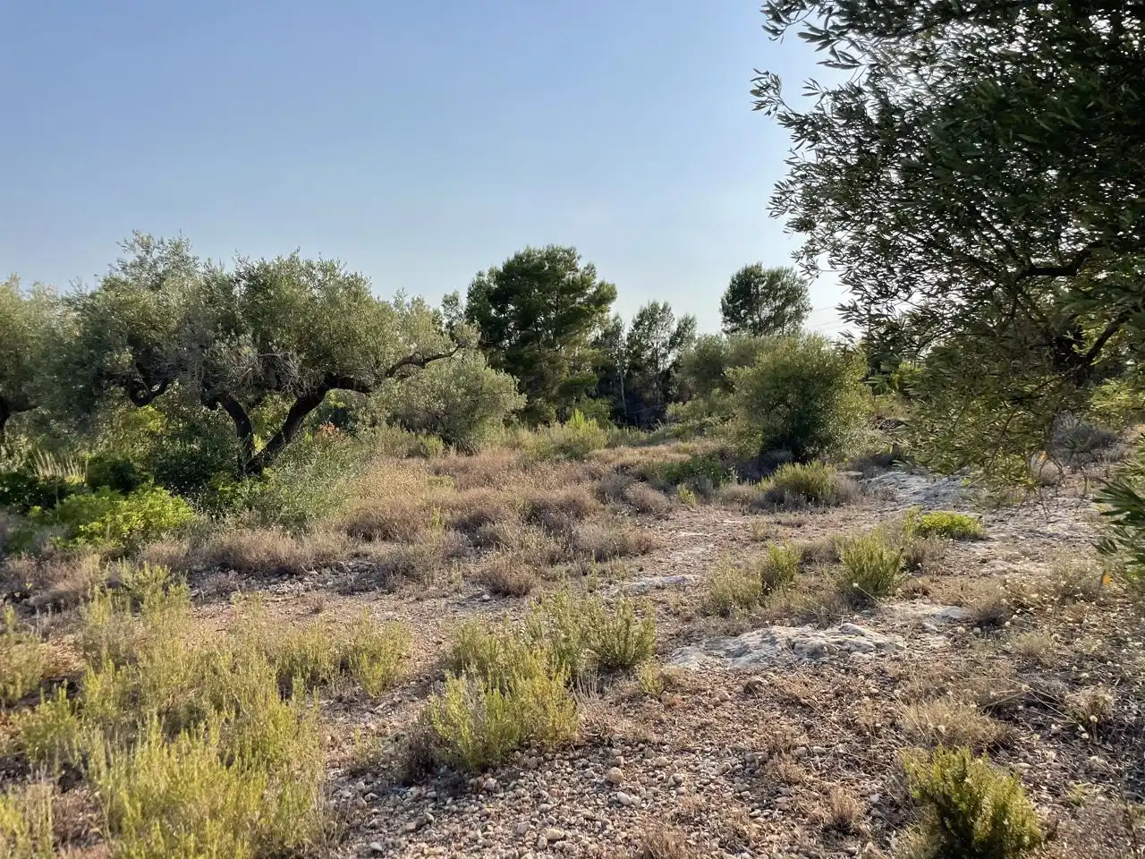 Terreno rustico in vendita a Partida Estany Tort, imagen 4