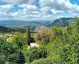 Flat for sale in Benaocaz