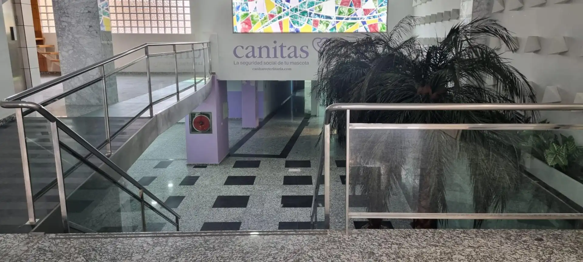 Gewerbefläche zur Miete in Paseo Marítimo - San José - La Laguna, imagen 3