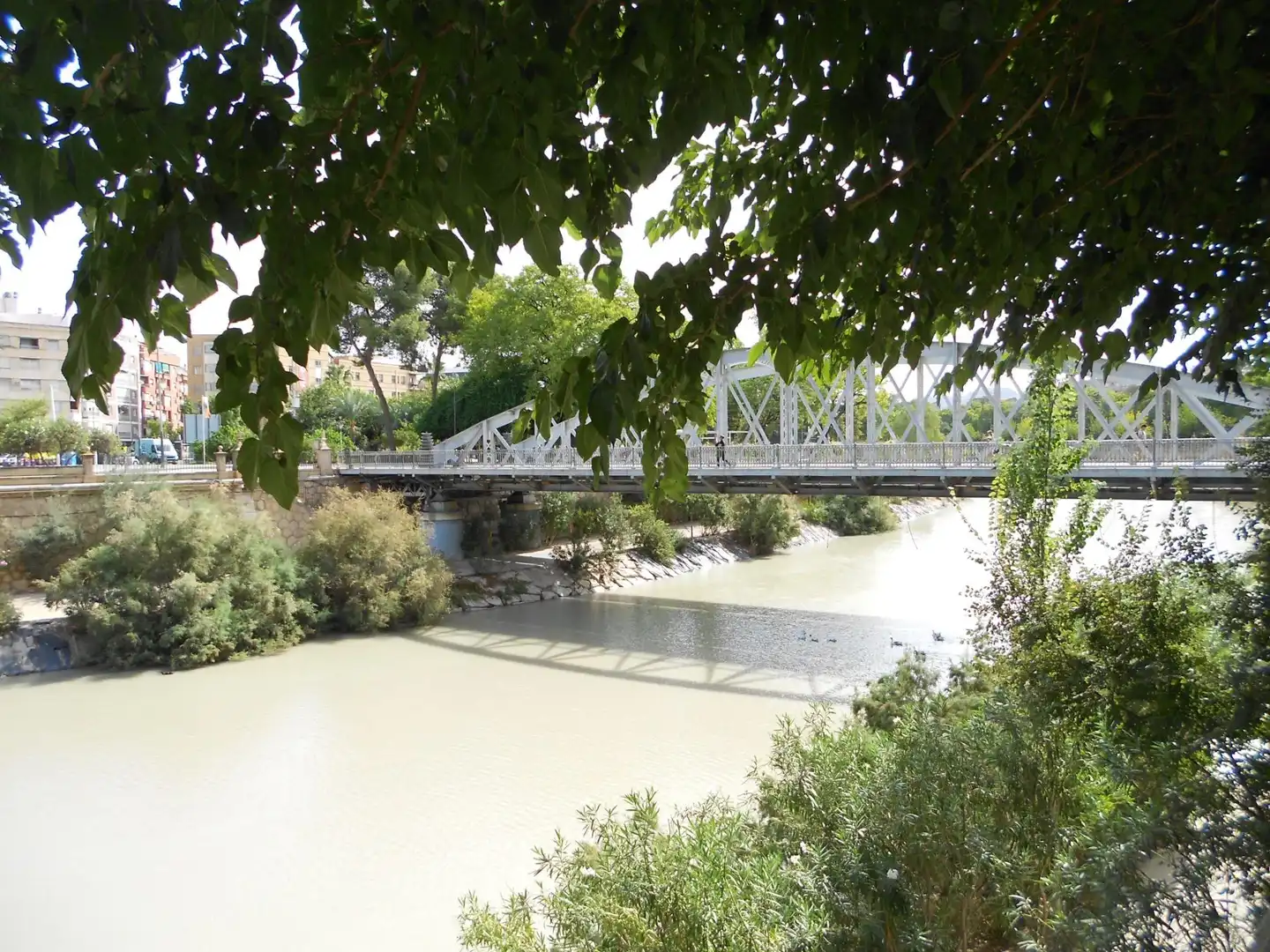 Exterior view of Flat for rent in Murcia  with Air Conditioner, Heating and Private garden