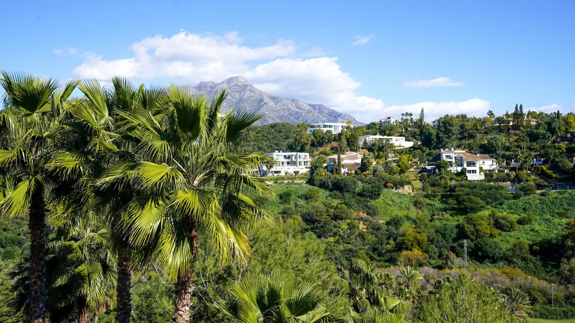 Apartment mit Pool zum Verkauf in Marbella Centro, imagen 15
