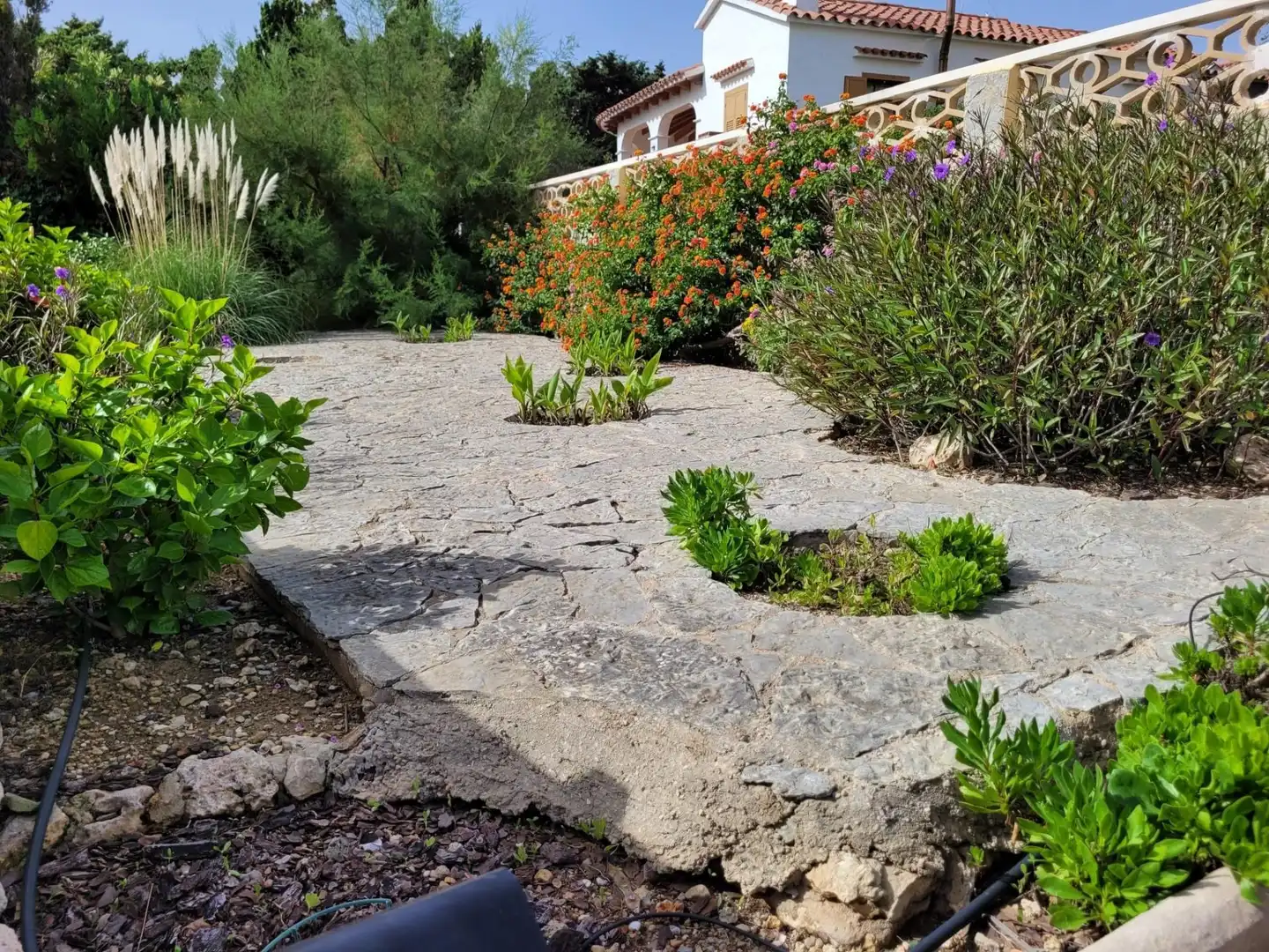 Jardí de Casa o xalet en venda en Es Castell amb Calefacció, Terrassa i Piscina
