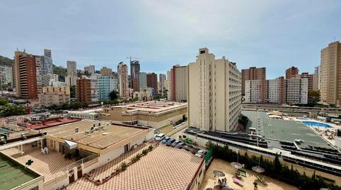 Foto 3 de Estudi en venda a Avenida Juan Fuster Zaragoza, Rincón Bajo, Alicante