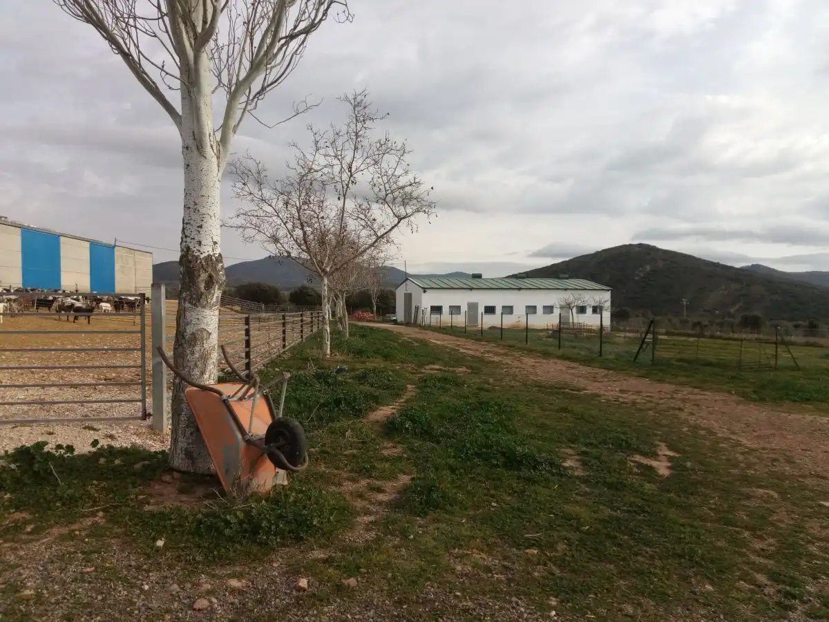 Finca rústica en venta en Fuente el Fresno