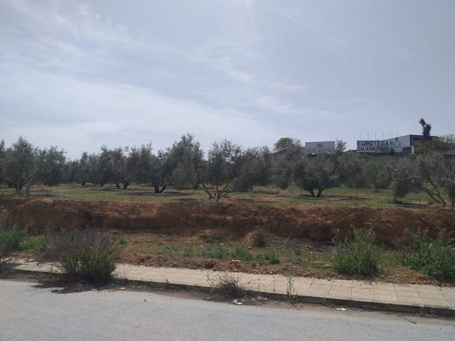 Terreno residencial en Venta en Láchar