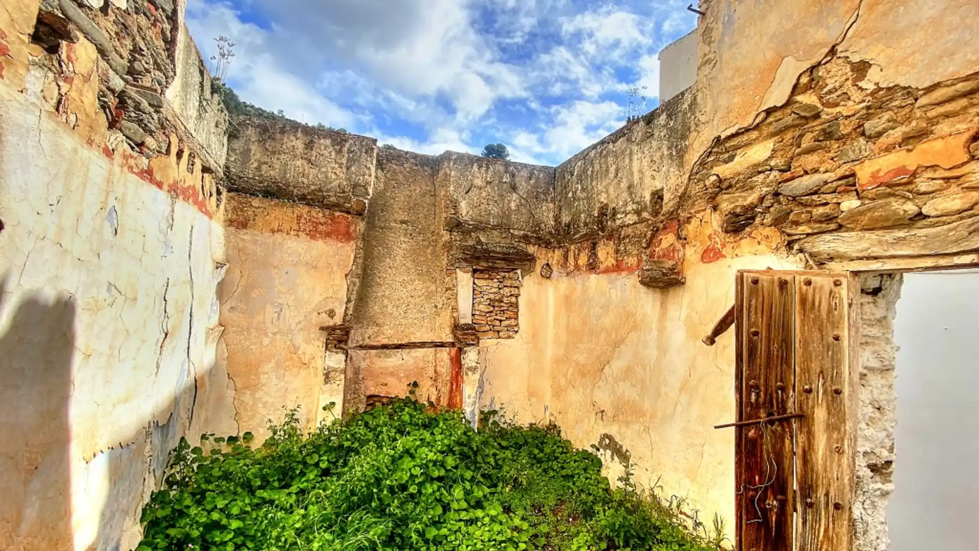 Vista exterior de Finca rústica en venta en Salares