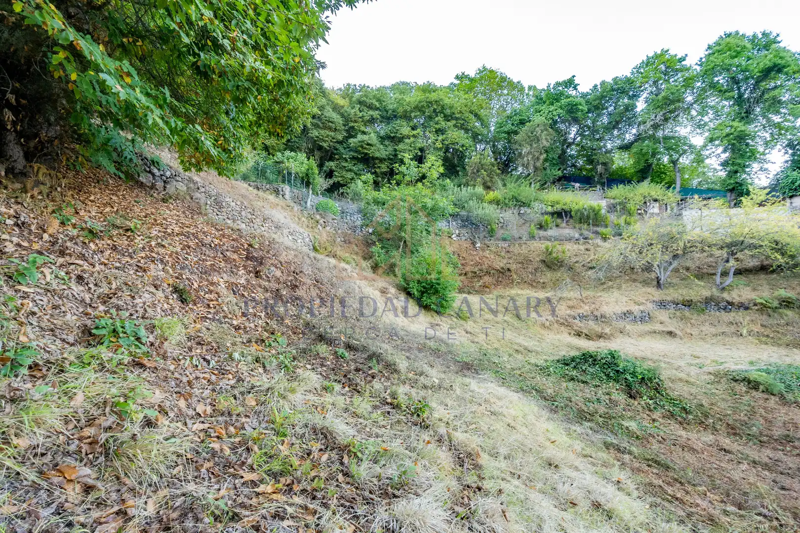 Terreno rustico in vendita a Camino la Candelaria 2A, imagen 7
