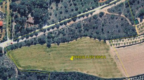 PEQUEÑA EXPLOTACIÓN AGRÍCOLA Y RECREO