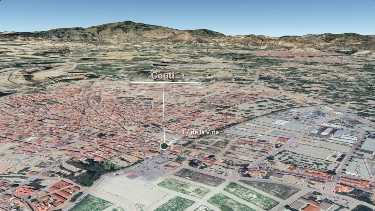Terreny rústic en venda a Ceutí - Calle Las Viñas 43, imagen 4