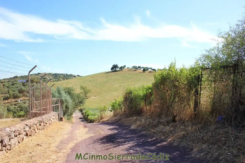 Vista exterior de Finca rústica en venta en Montecorto